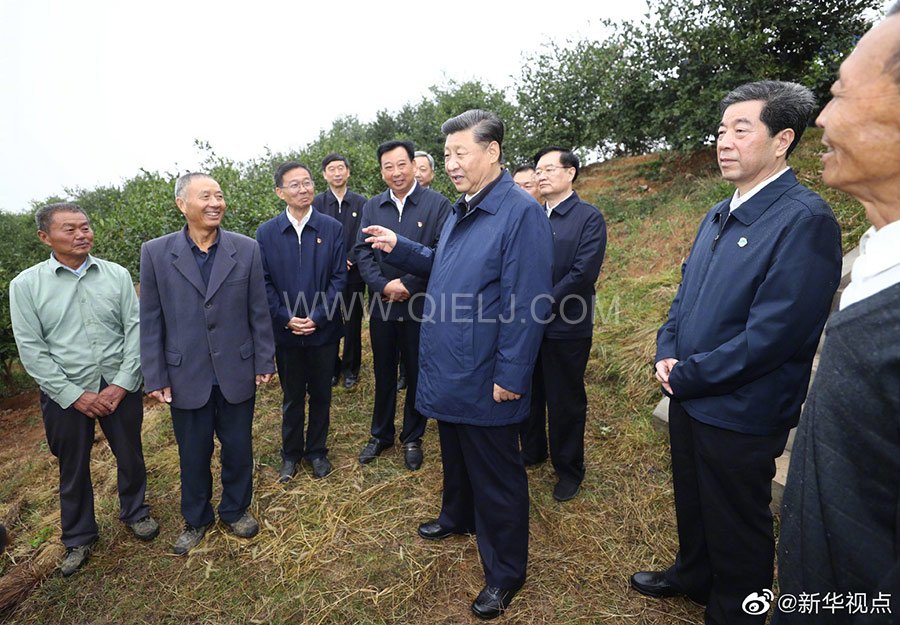 光山油茶籽榨油設(shè)備，山茶籽油榨油機(jī)廠家(圖3)