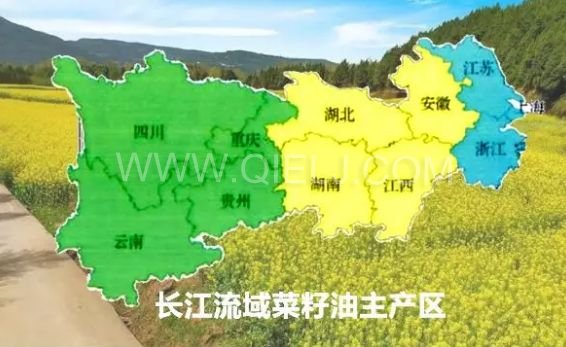 濃香菜籽油成套設備，企鵝糧油機械品質(zhì)出眾(圖1)